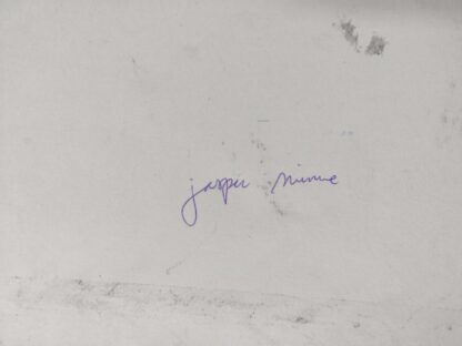 Steen (rond 2020) - Jasper Minne - Afbeelding 2