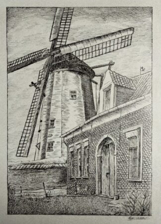 Witte Molen Sint-Niklaas - A. Heirbaut