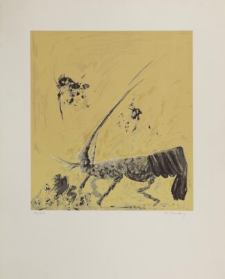 Shrimp - Paul Turkry