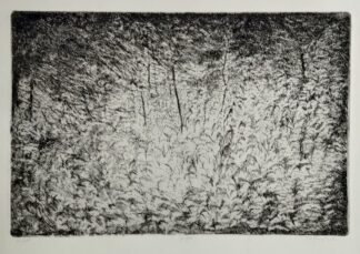 Licht - Robert Wuytack