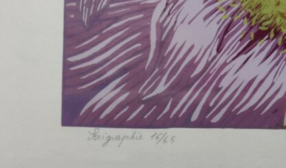 Pyrethrum - Alberte Libert - Afbeelding 5