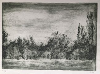 bosgezicht roelant andré ets afdruk artist proof