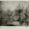 klein boslandschap (1975) - Benny Blommaert (attrib)