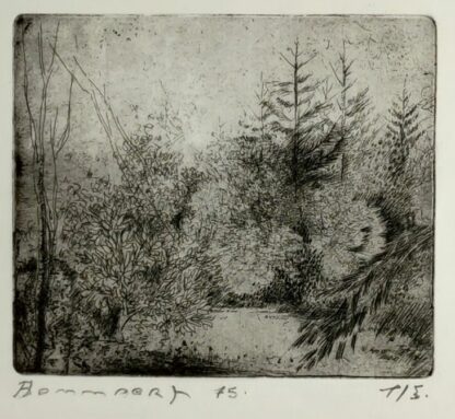 klein boslandschap (1975) - Benny Blommaert (attrib)