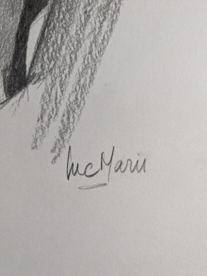 Luc Maris handtekening