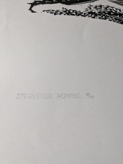 Stervende Hommel - Denijs De Backer - Afbeelding 3