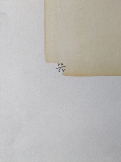 genummerde litho Dries Van den Broeck
