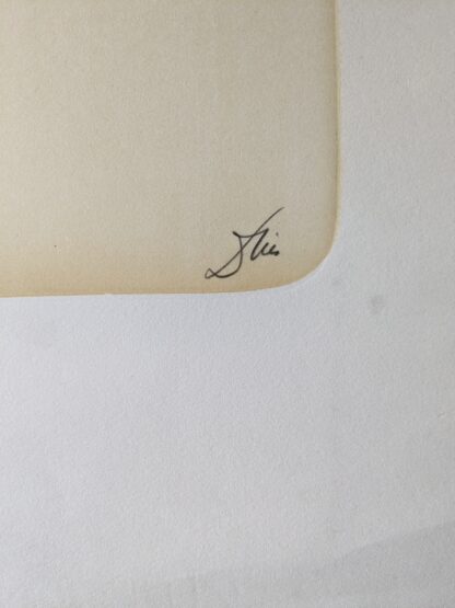 Signatuur Dries Van den Broeck