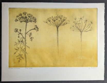 G thans schermbloem ets aquatint full blad