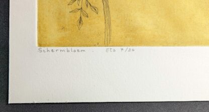 G thans schermbloem ets nummer 7/20