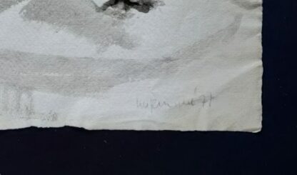 onleesbare signatuur