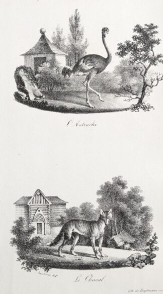 Godefroy Engelmann lithografie