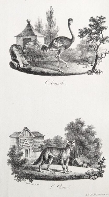 Godefroy Engelmann lithografie