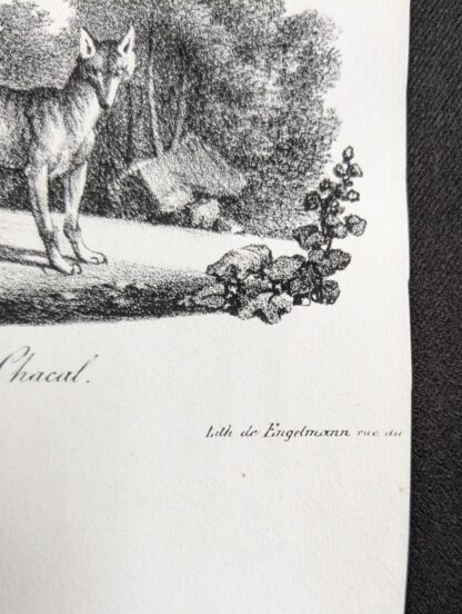 Godefroy Engelmann litho