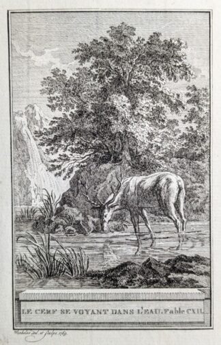 Vinkeles le cerf se voyant dans l'eau