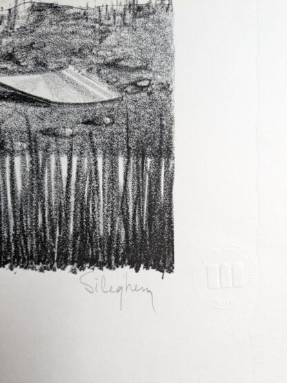 piet sileghem signature