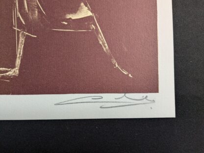 Remy cornelissen signature