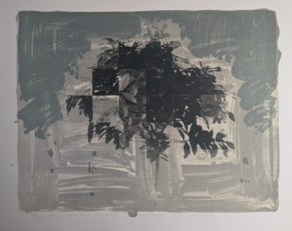 Joseph Cals kunst