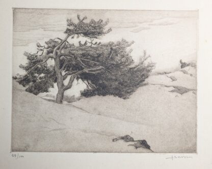 Juliaan Severin kunstwerk