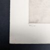 Kamthoutse heide - Juliaan Severin - Afbeelding 3